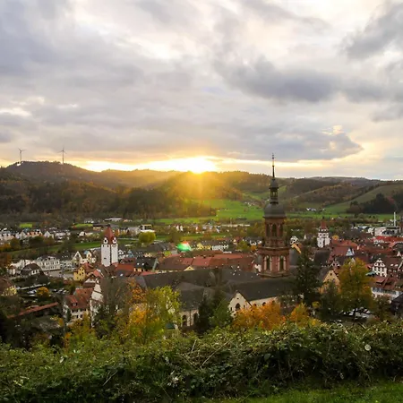 Im Garten Gengenbach