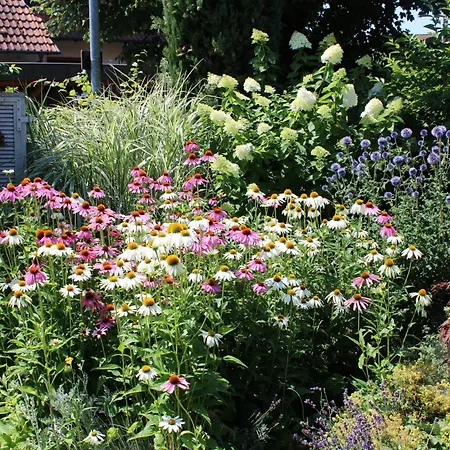 דירה Im Garten *