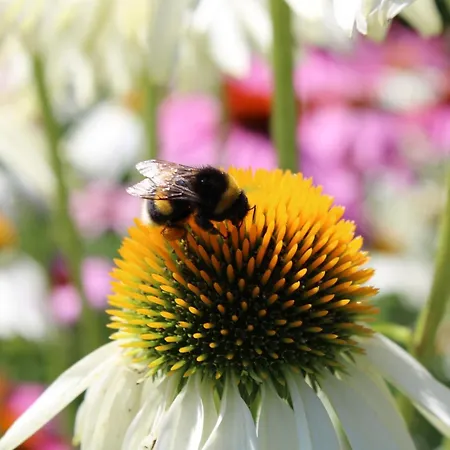 דירה Im Garten *