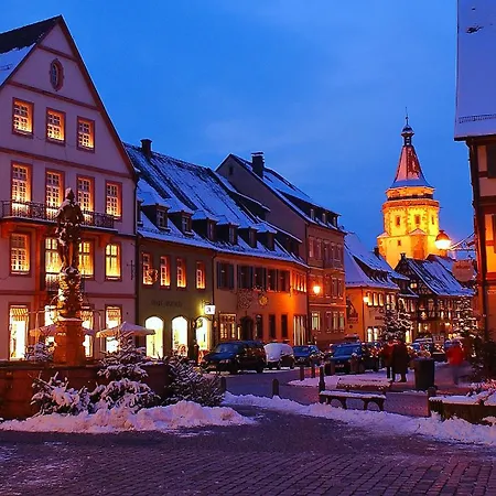 Im Garten Apartment Gengenbach